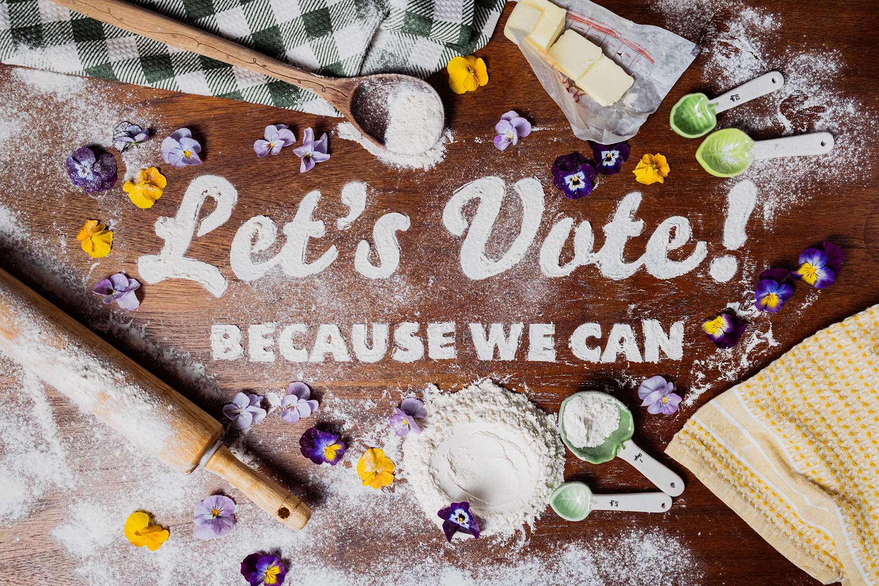 a firm foundation women can vote